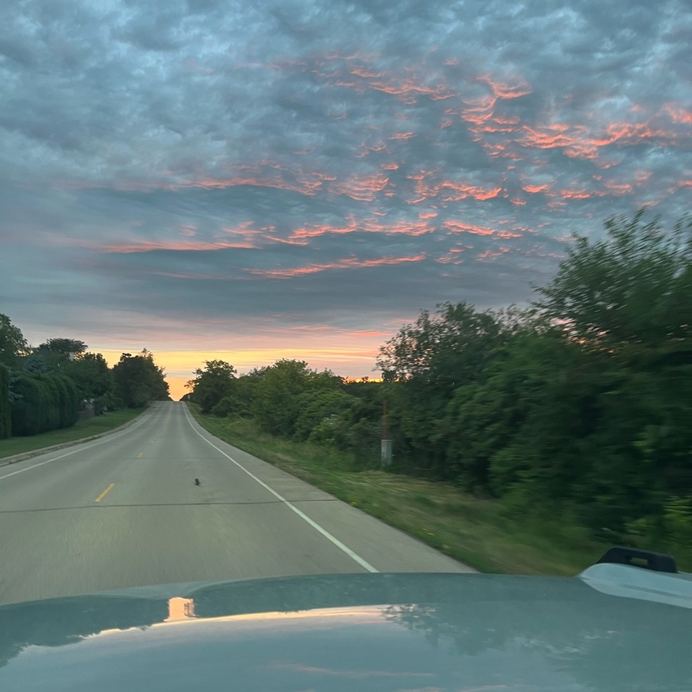 Meet your Posher, Tesia